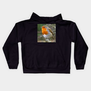 Red Red Robin Kids Hoodie